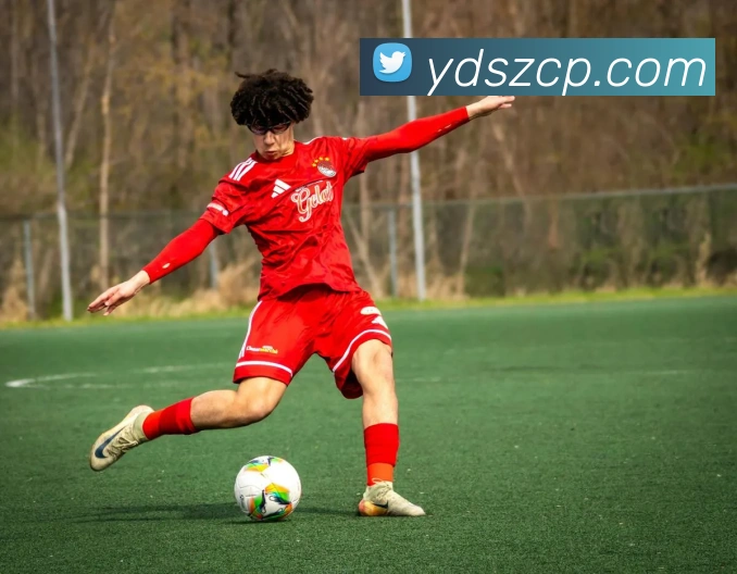 易倍emc官网登录发展历程